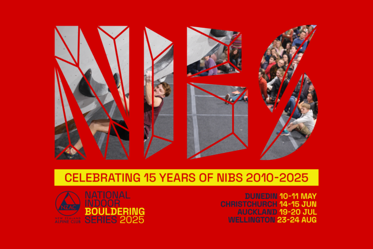 NiBS 2025