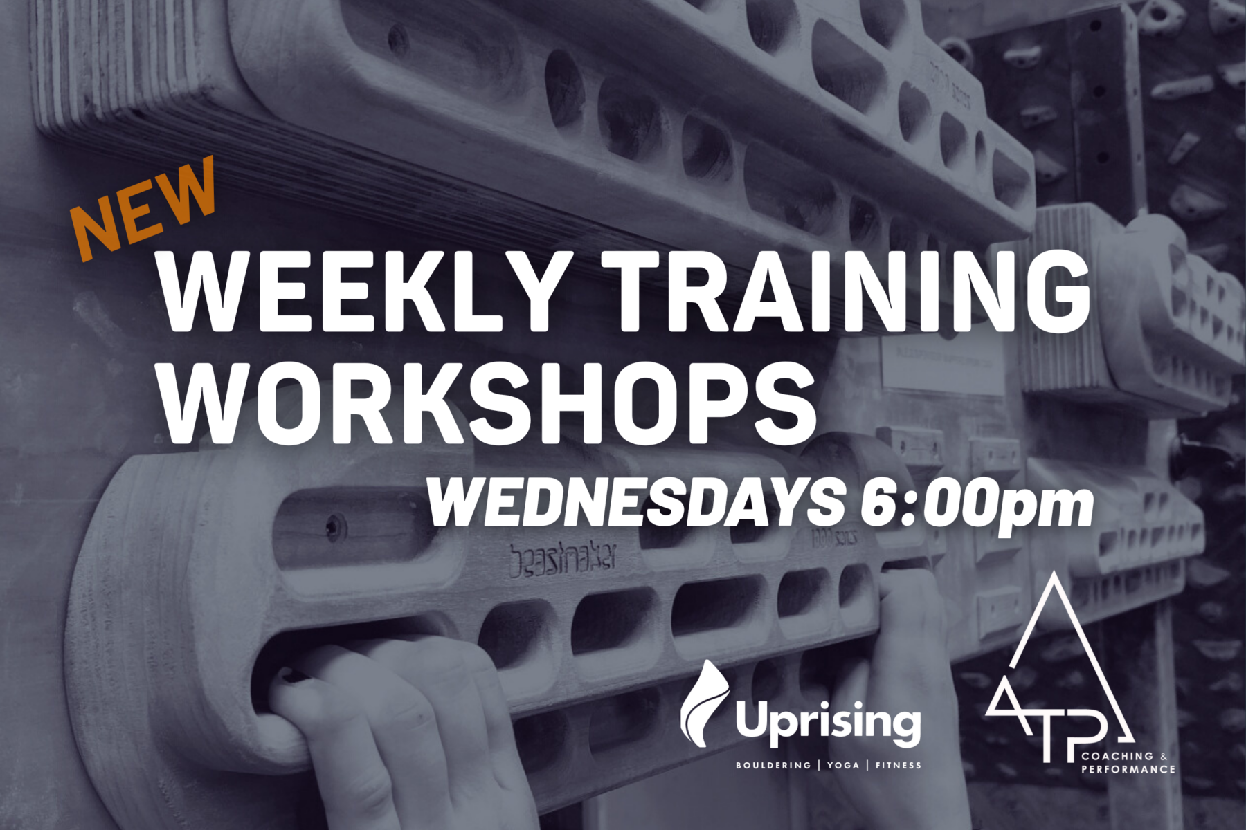 New Weekly Training Workshops